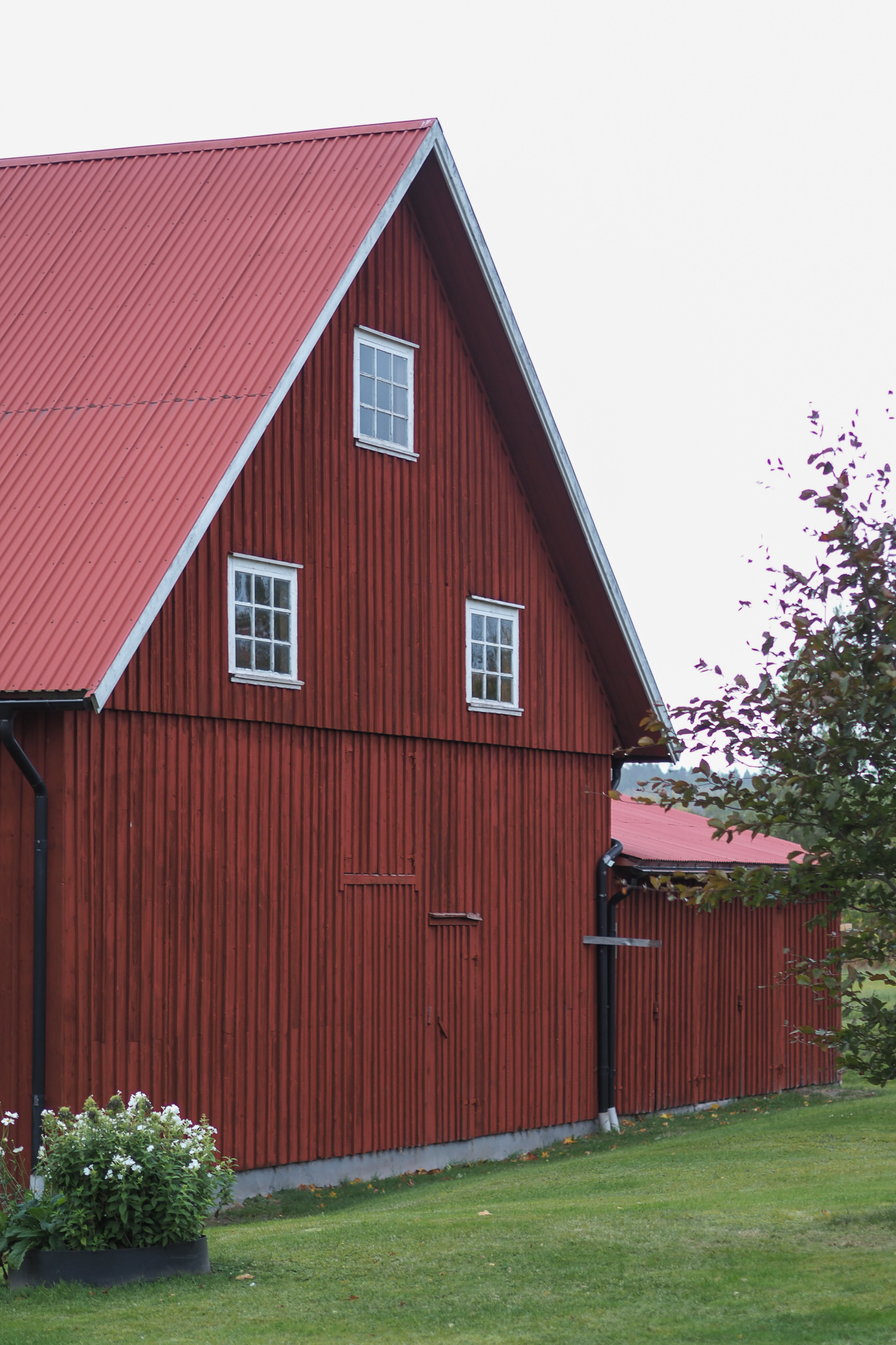 En bild på en röd ladgårdsvägg.