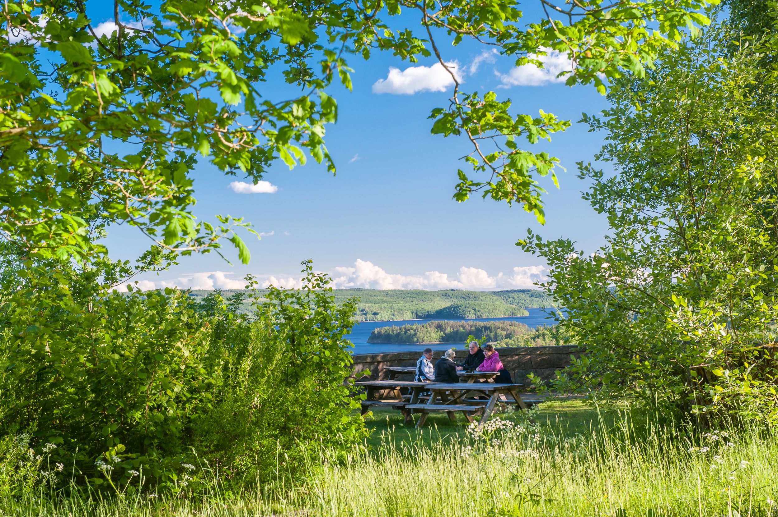 En bild på gröna löv i förgrunden, följt av ett sällskap som fikar vid ett bord. I bakgrunden är en otrolig utsikt mot en sjö.