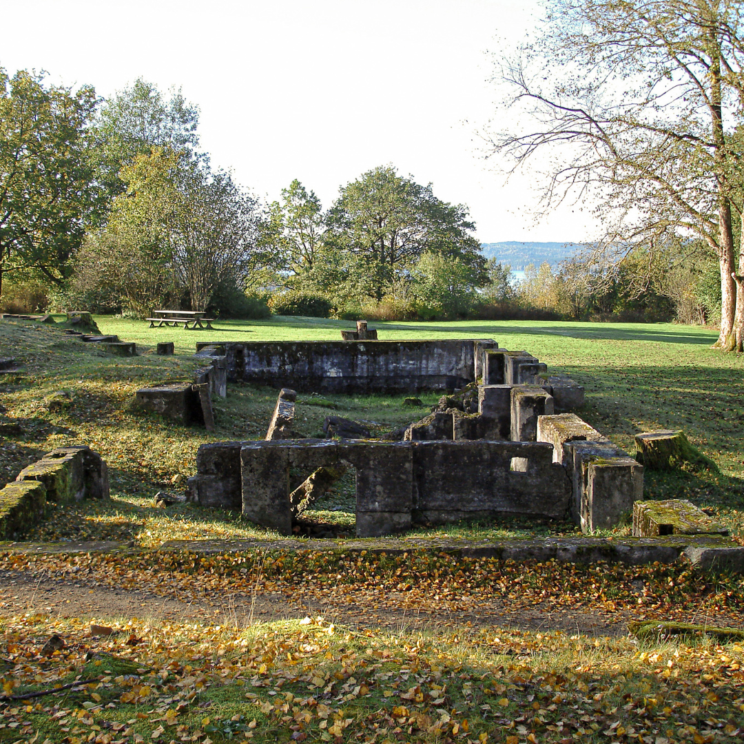 En gammal ruin omringat av höstlöv