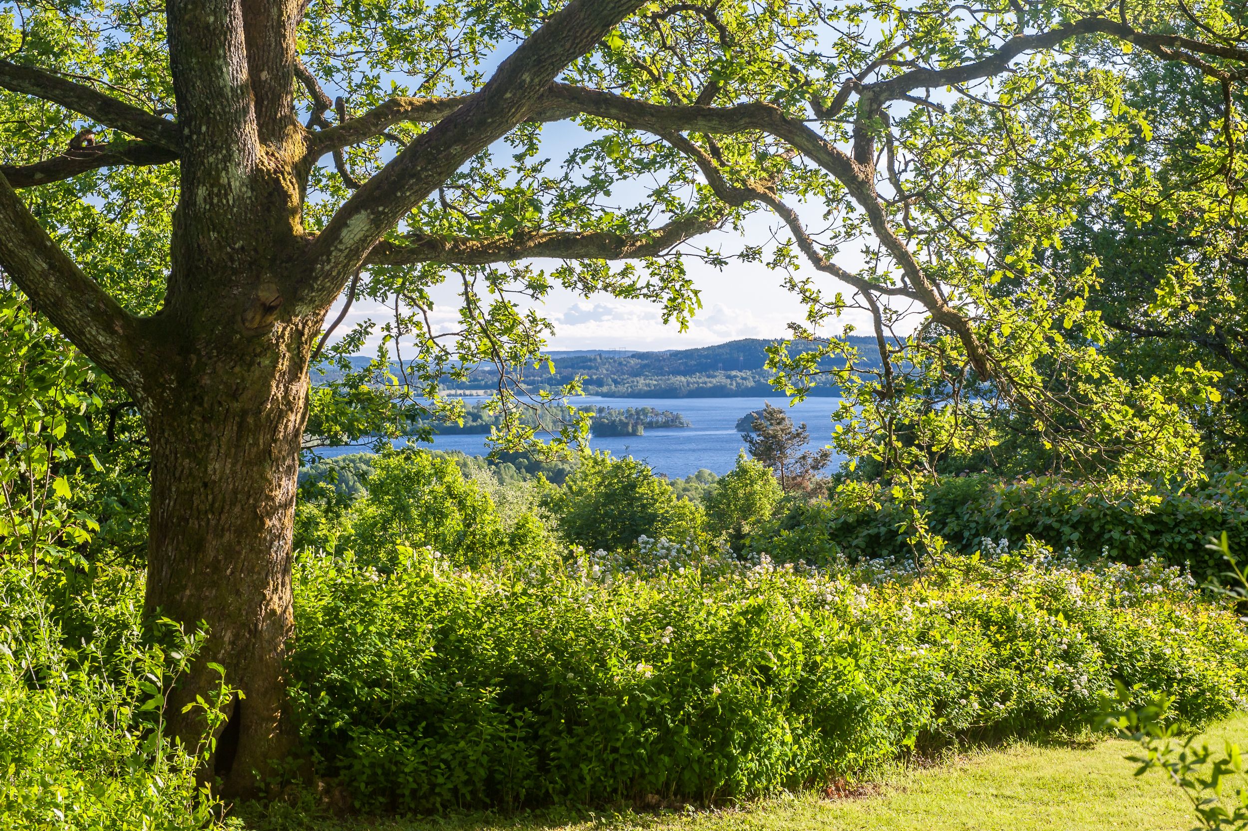 En utsiktbild över sjö