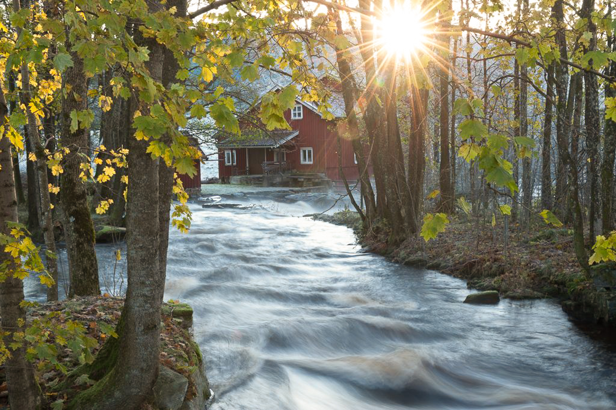 En strömmande å som rinner genom ett höstlandskap.