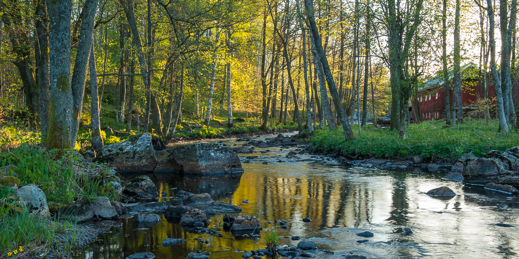 En bild på en å som ligger stilla i ett grönt om lummigt landskap.