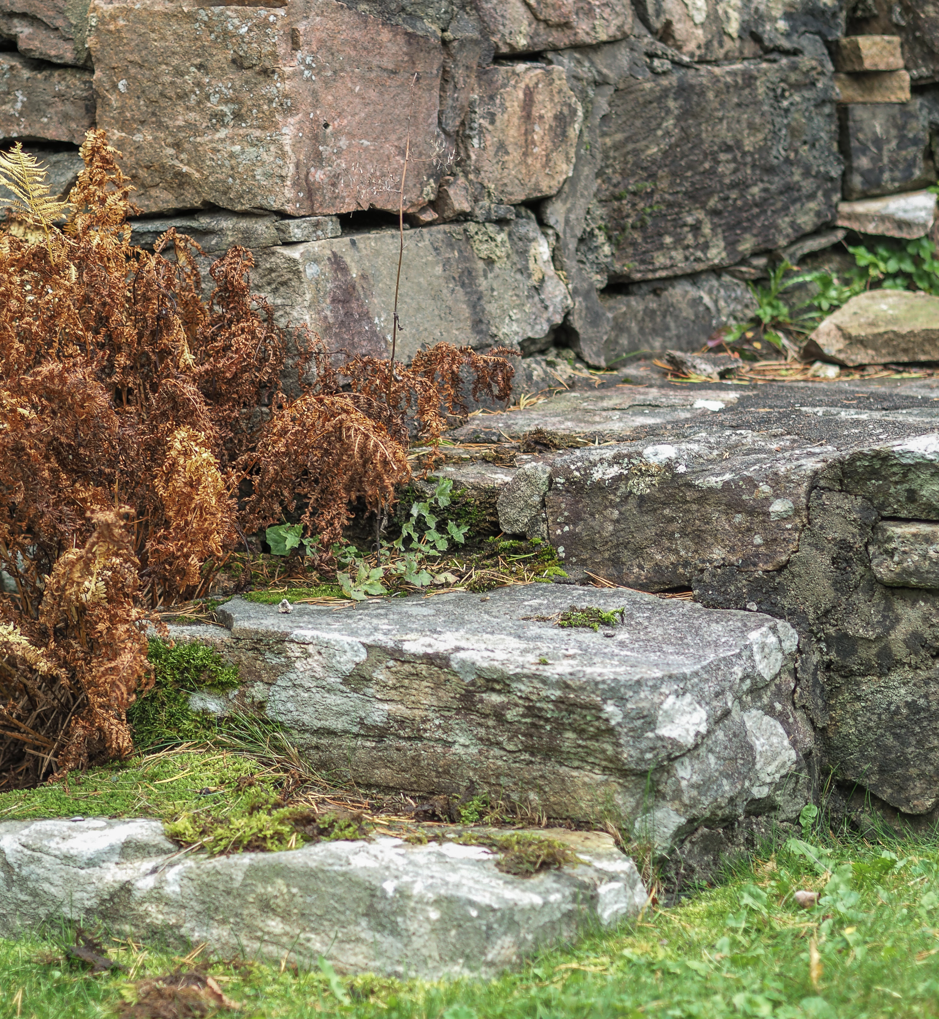 En bild på en trappa i en gammal kyrkoruin