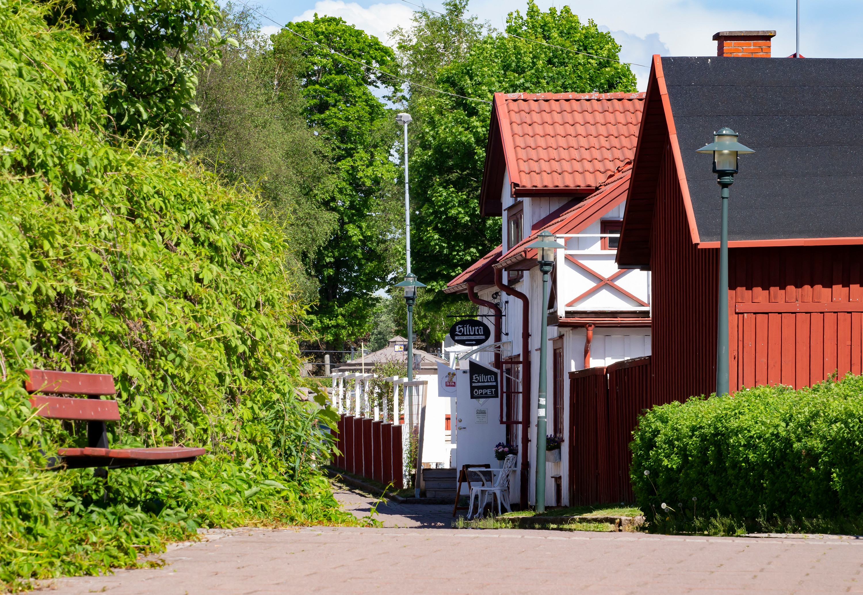En bild på ett gatustråk i lummig grönska.