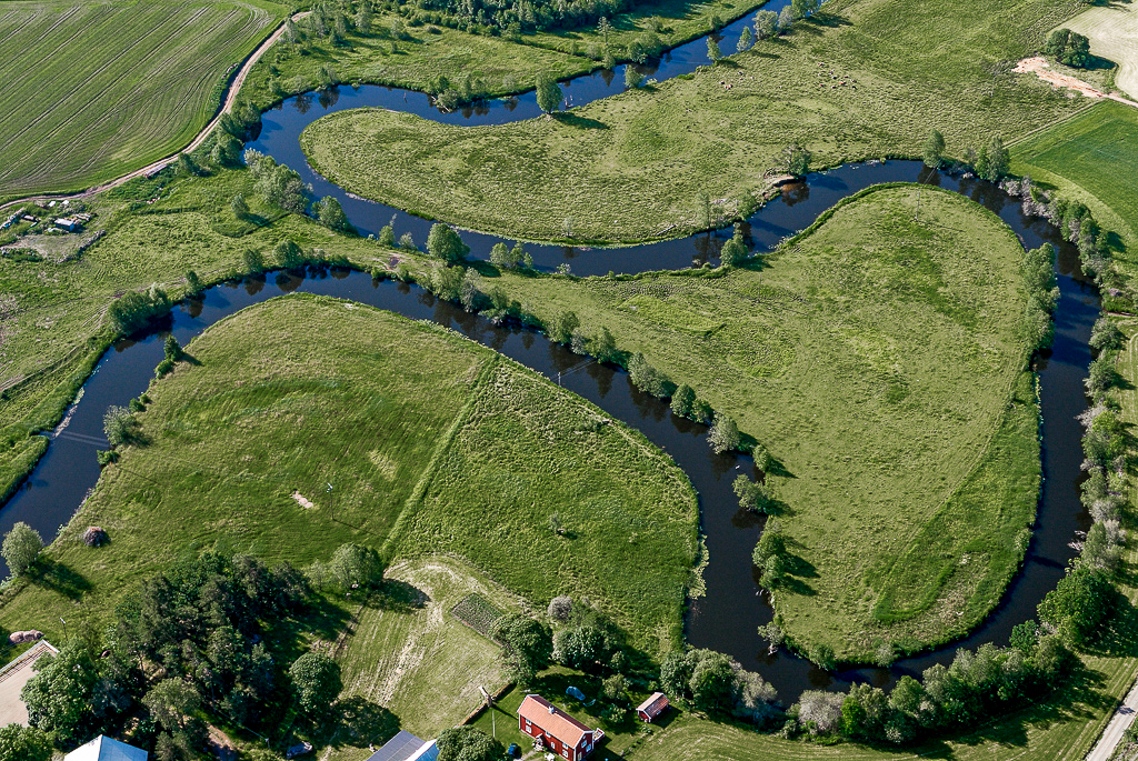 En bild ovanifrån på en slingrande å i ett grönt landskap.