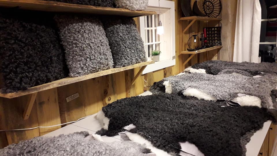 En bild på fårskinn som ligger uppradade på ett bord. På väggen hänger en hylla där kuddar i ull står.