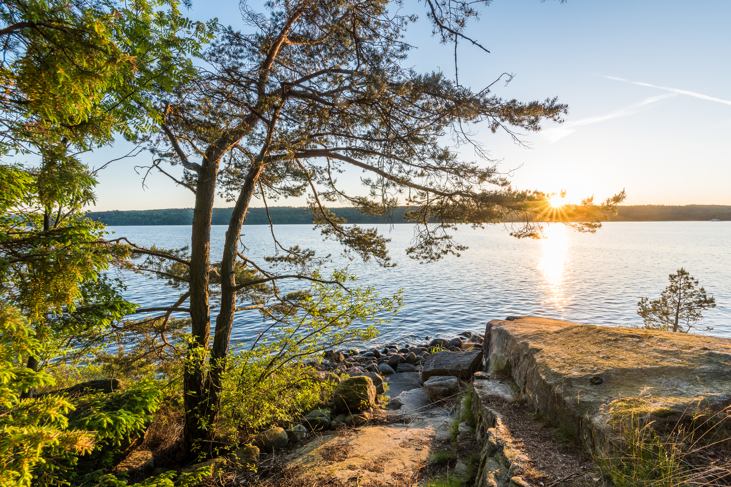 En bild på solnedgång över en stor sjö. I förgrunden syns träd och ien klippa.