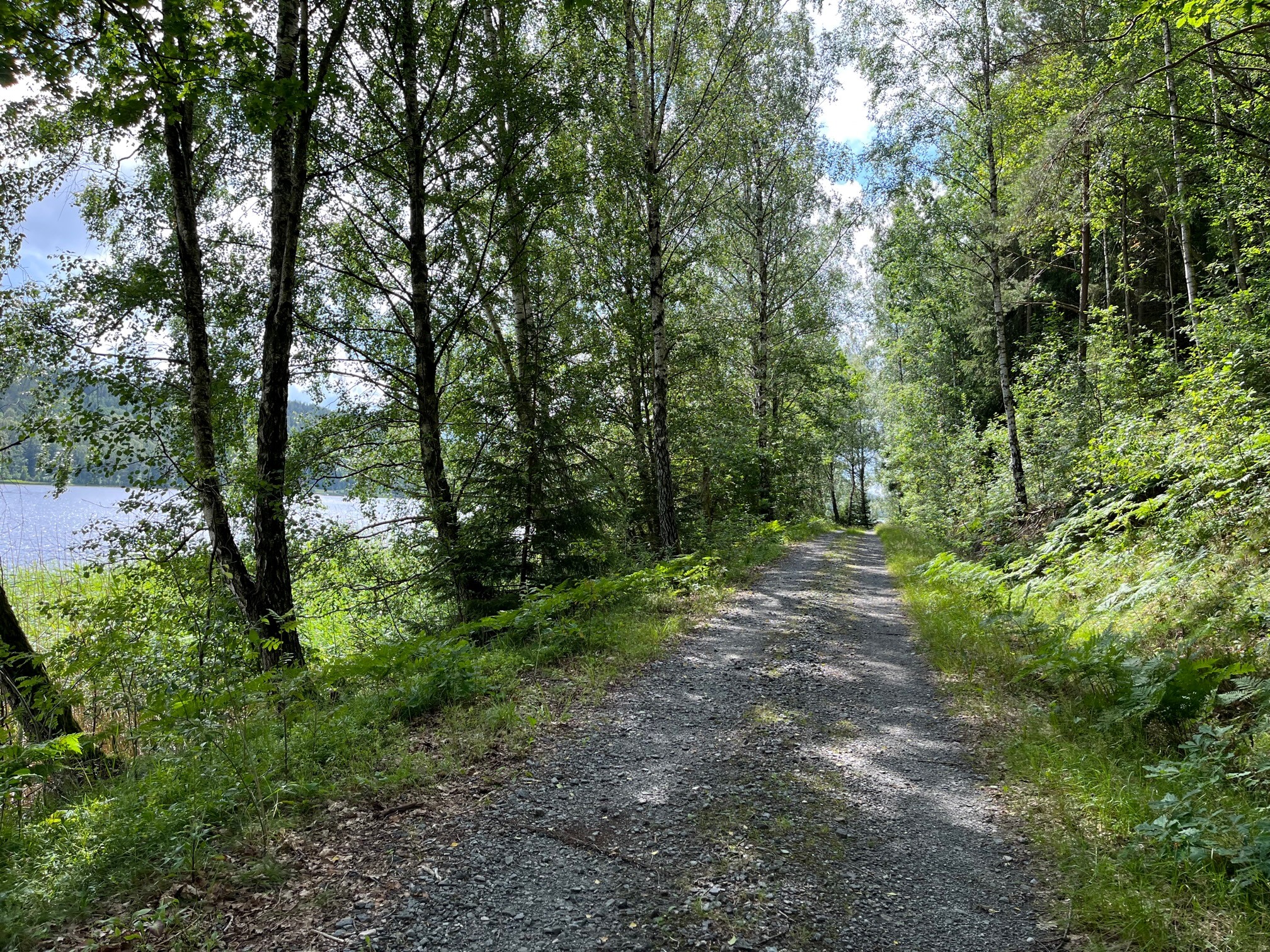 Kungsjölederna Grusväg intill sjökant sommar