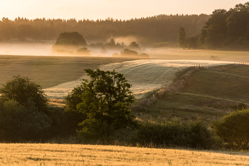 En bild över öppna landskap i kvällssolen. En dimma ligger över markerna.