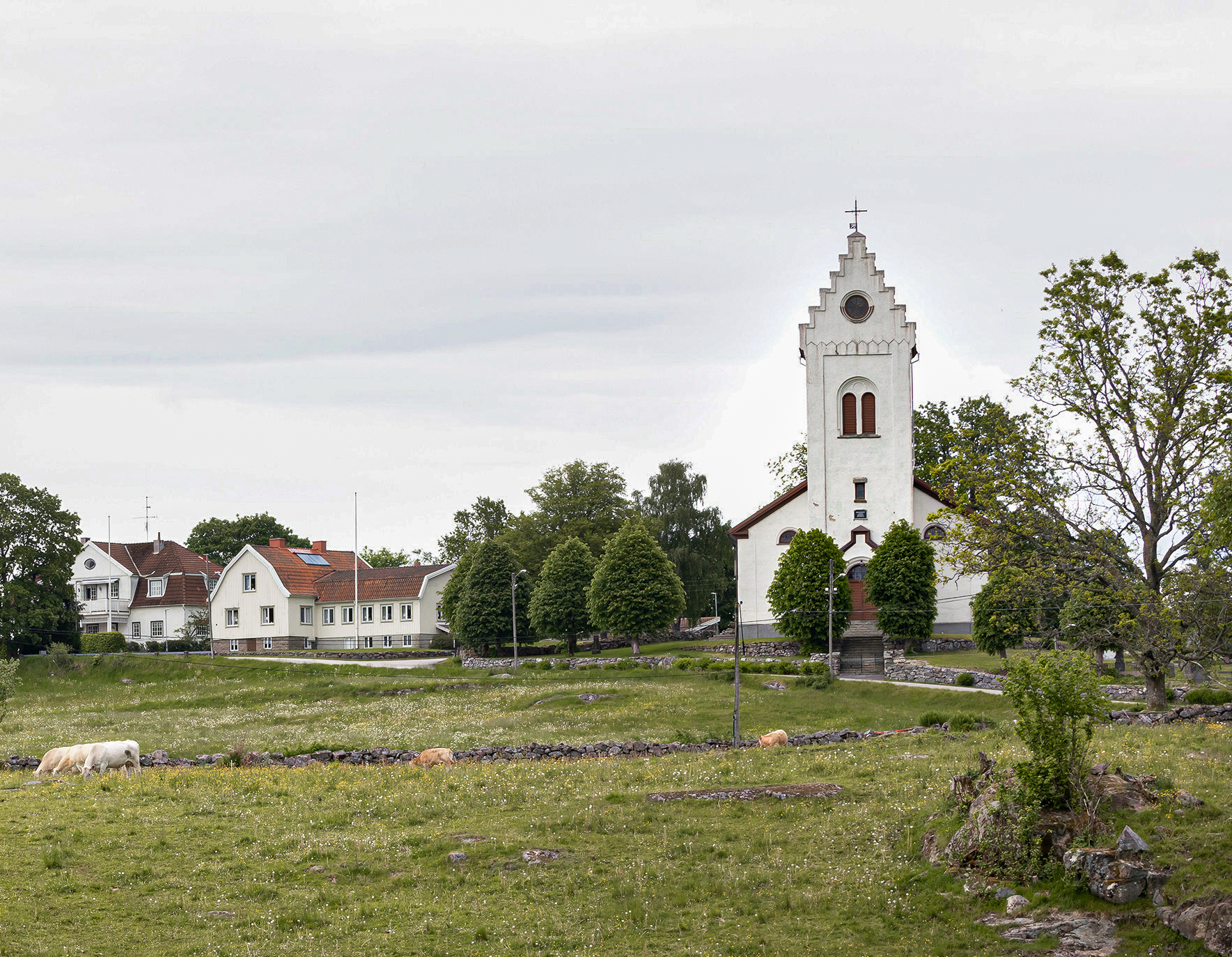 En bil på en kyrka med betande kor framför