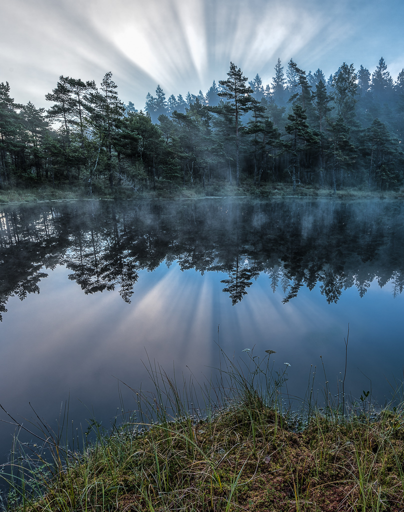 En bild på en sjö i skogen