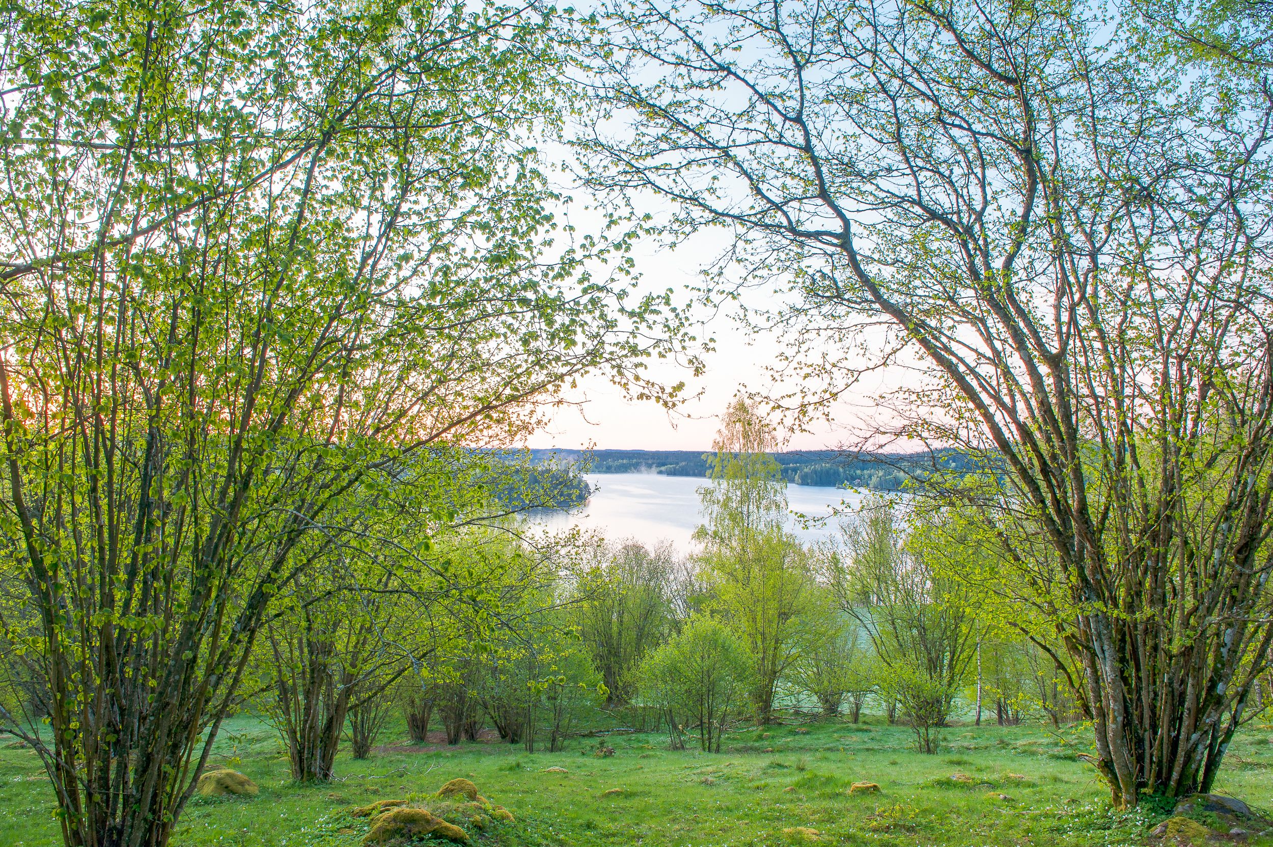 En vacker naturbild med grönt gräs, träd och en sjö.