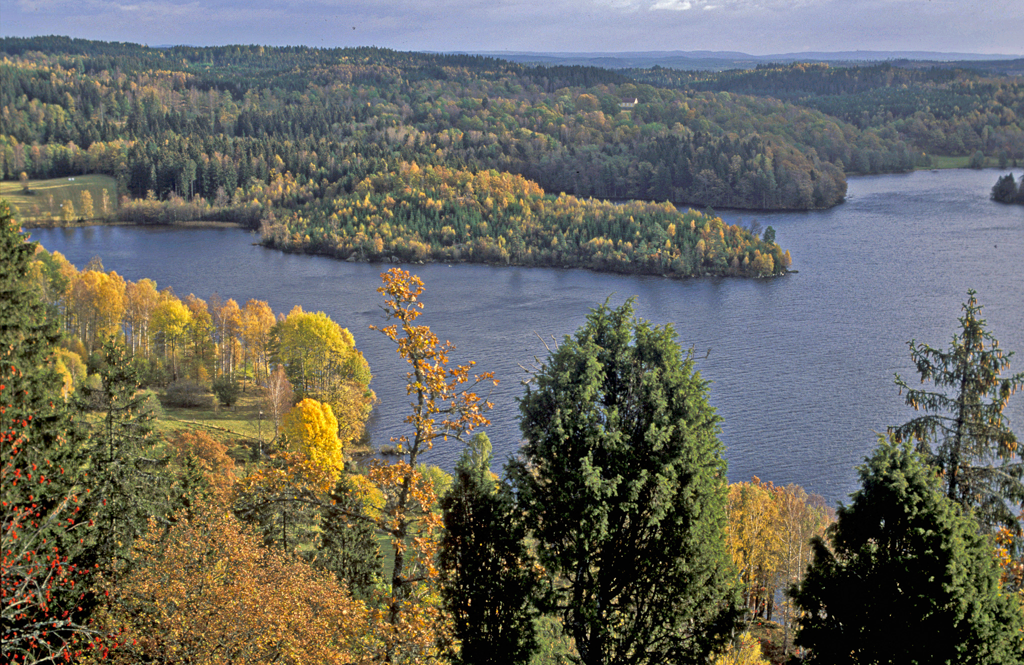 En bild på en vacker utsikt över skog och sjö i höstfärger.