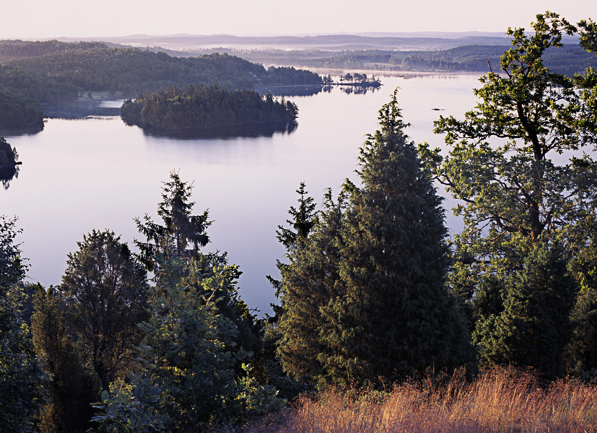 En bild på en vacker utsikt över skog och sjö i höstfärger.