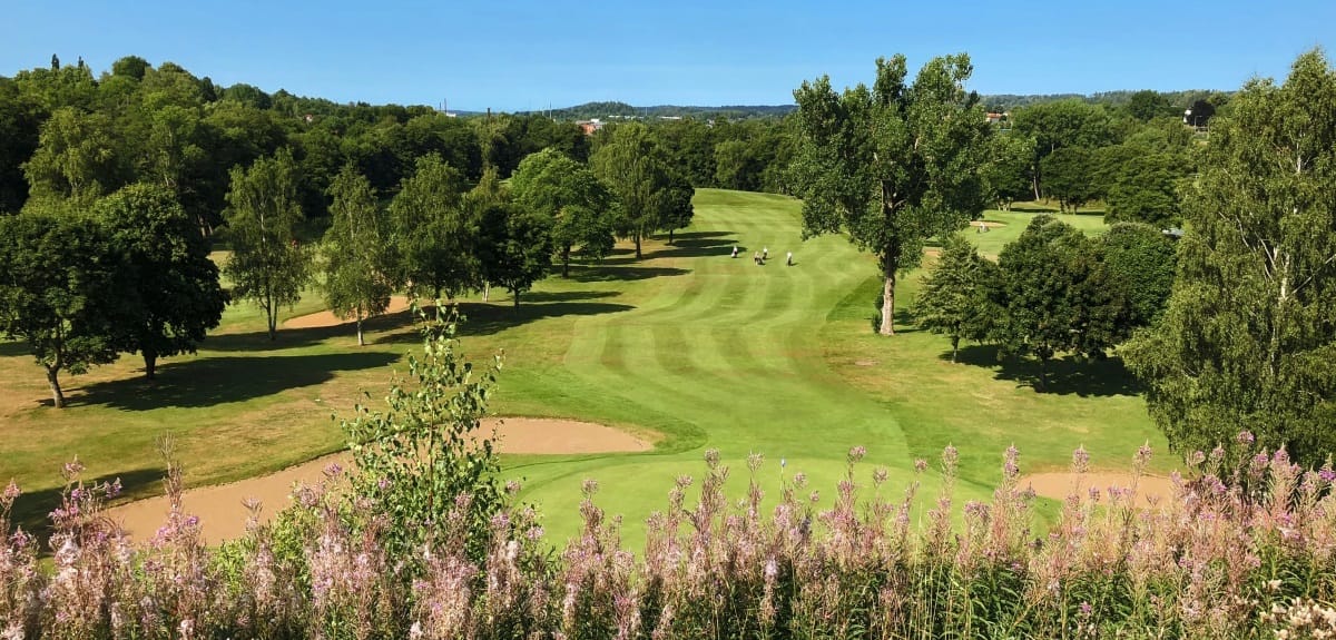 En bild på en golfbana.