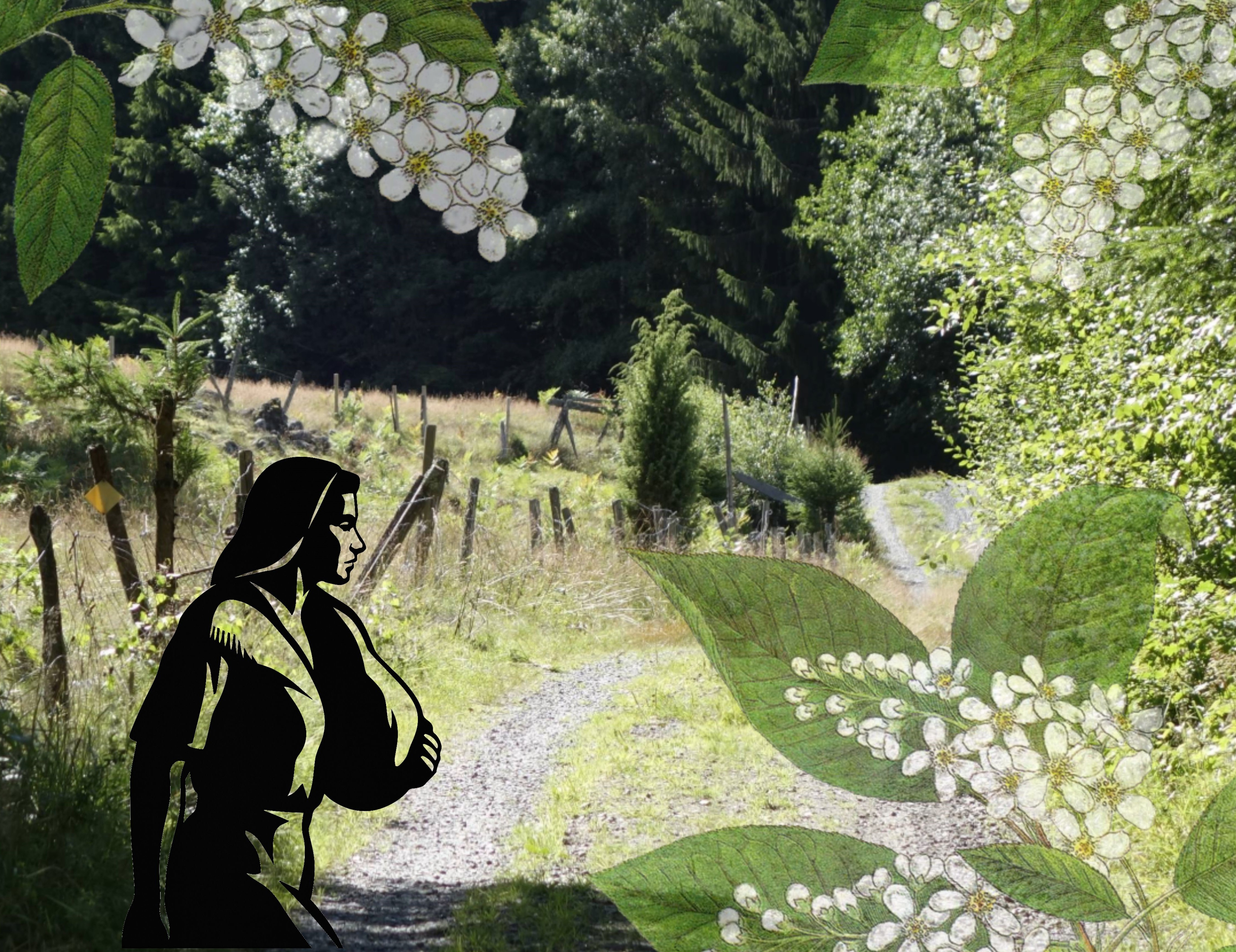 väverskans dag 2025