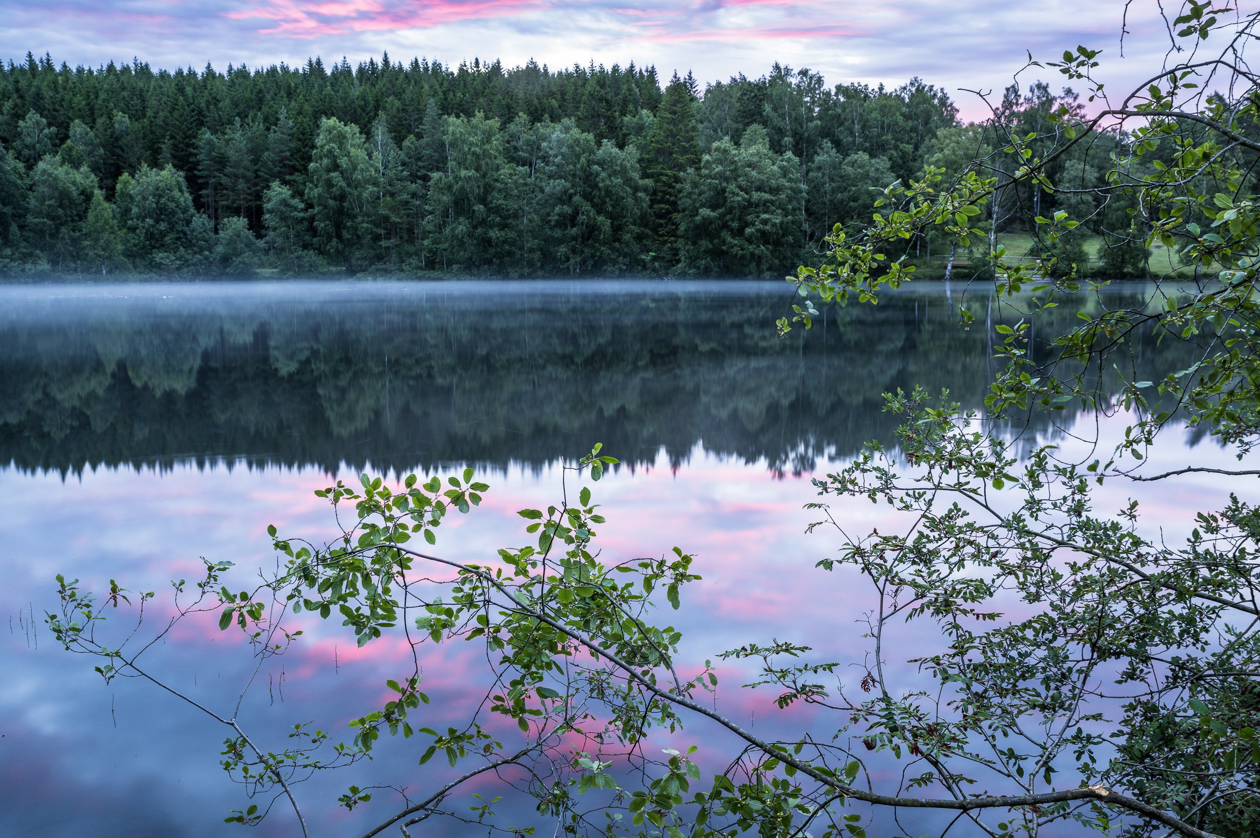 En bild på en spegelblank sjö där en rosa himmel speglar sig.