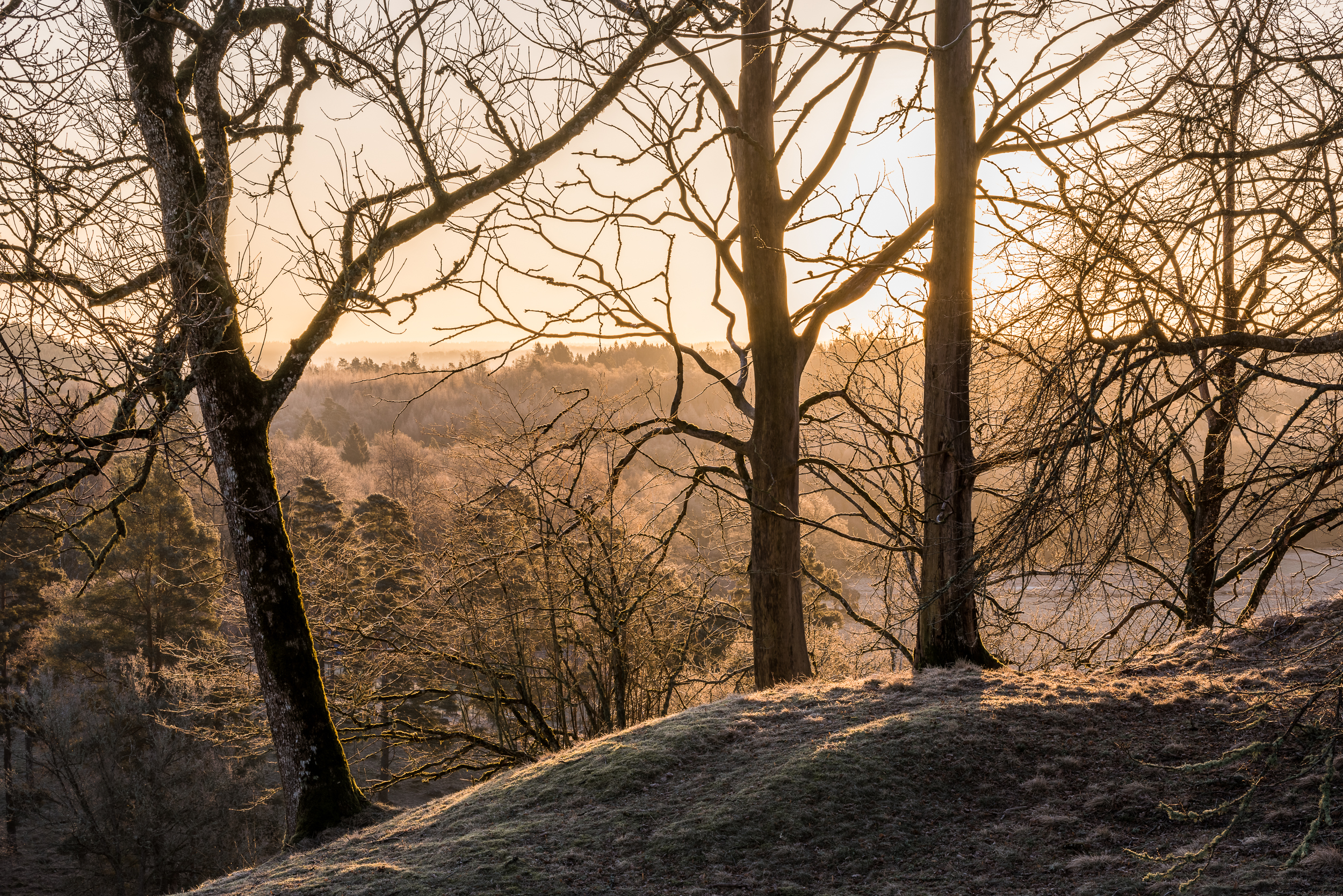 En bild på vacker frostbiten utsikt 
