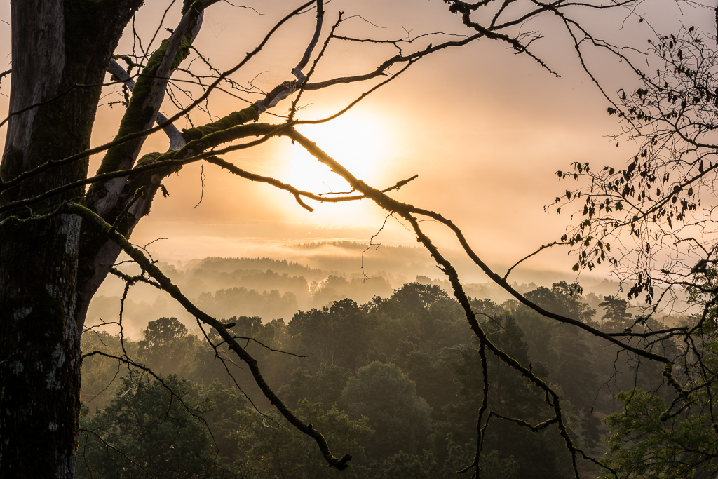 En bild på en vacker soluppgång.