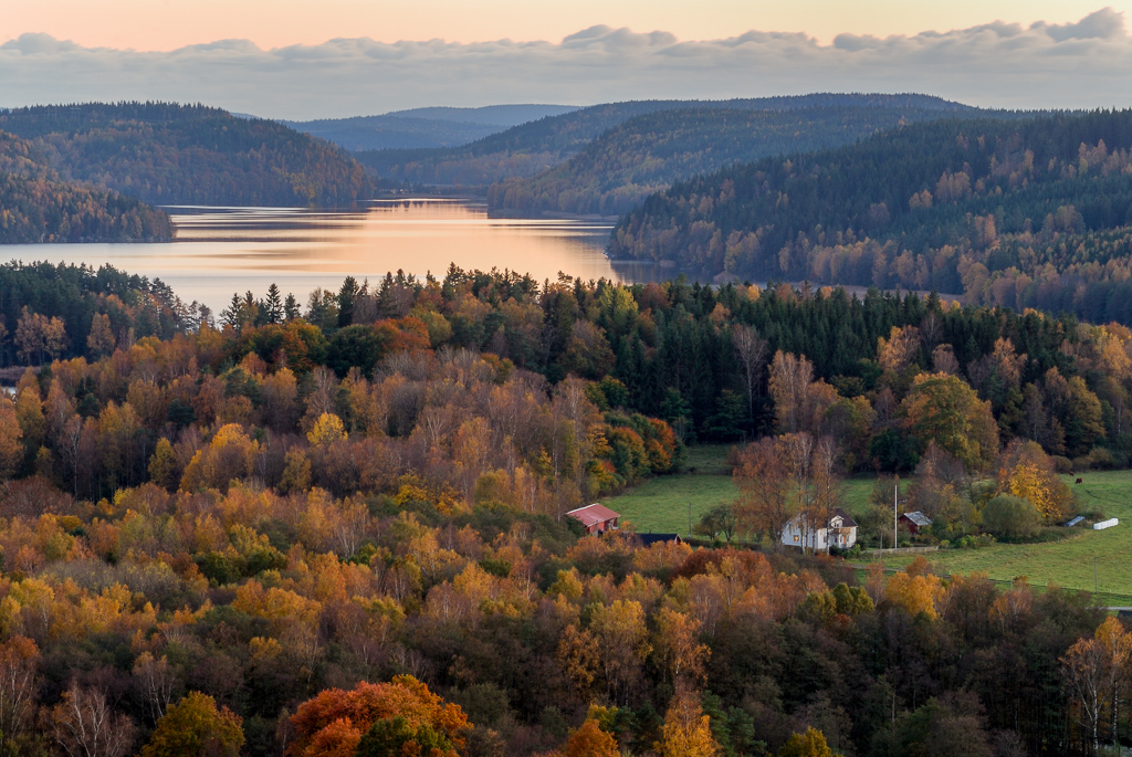 En utsiktbild över sjö och höstfärgade trädtoppar