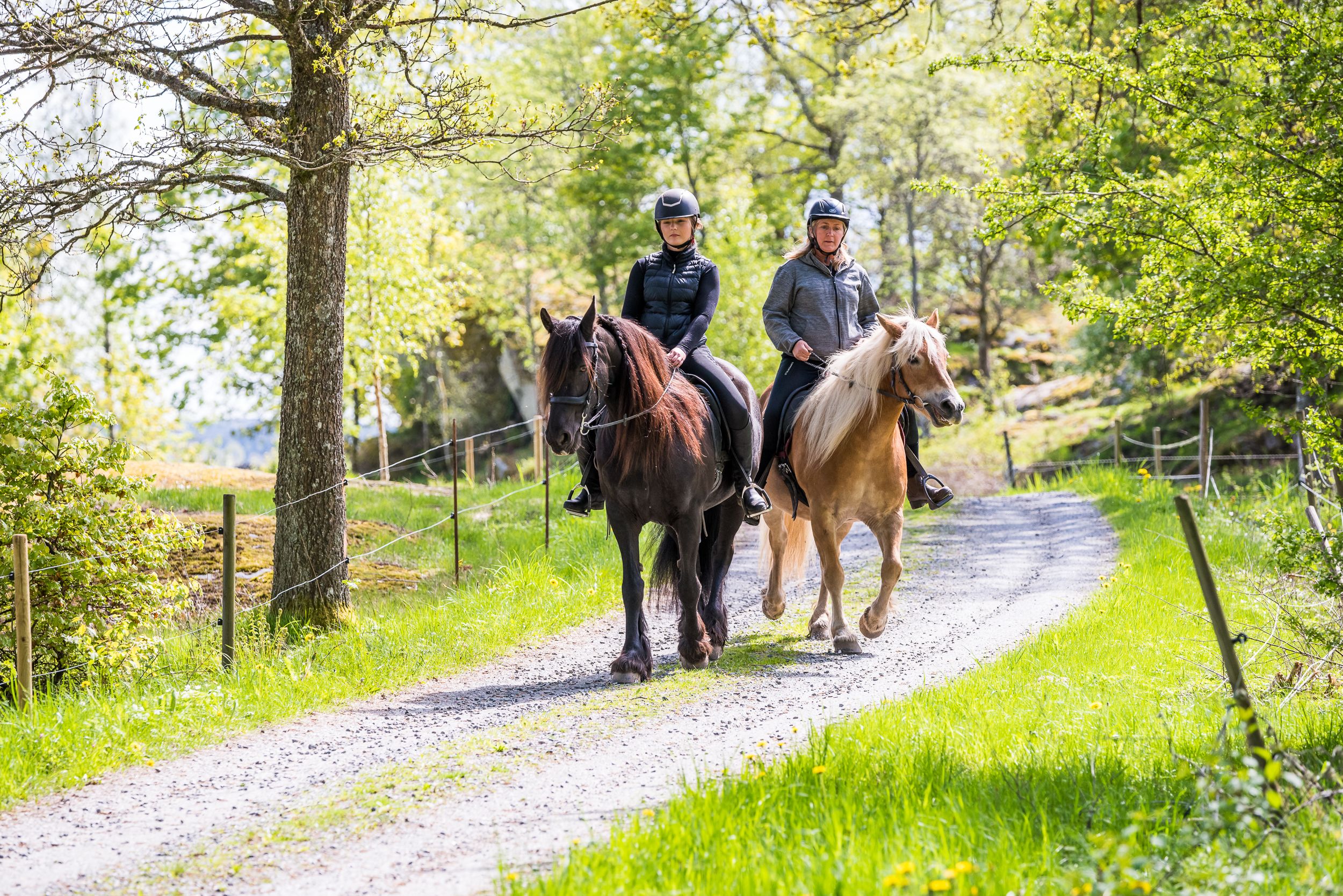 En bild på två kvinnor som sitter på varsin häst. Hästarna står på en grusväg som är kantad av grönt gräs och lummiga träd.