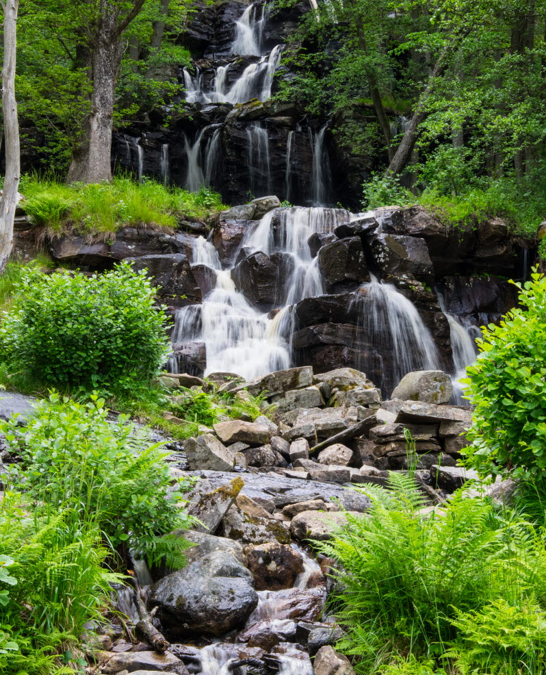 En bild på ett vattenfall omgivet av frodig och lummig grönska.