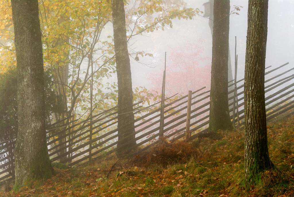 En bild på en gammal gärdsgård som står omgivet av ett höstligt landskap.