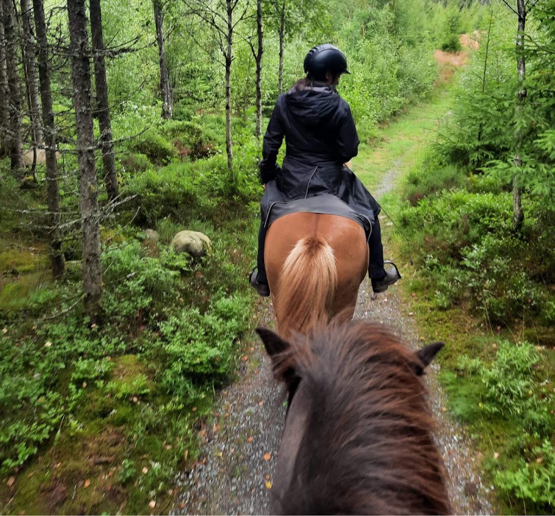 Ridtur i Hajoms vackra skogar