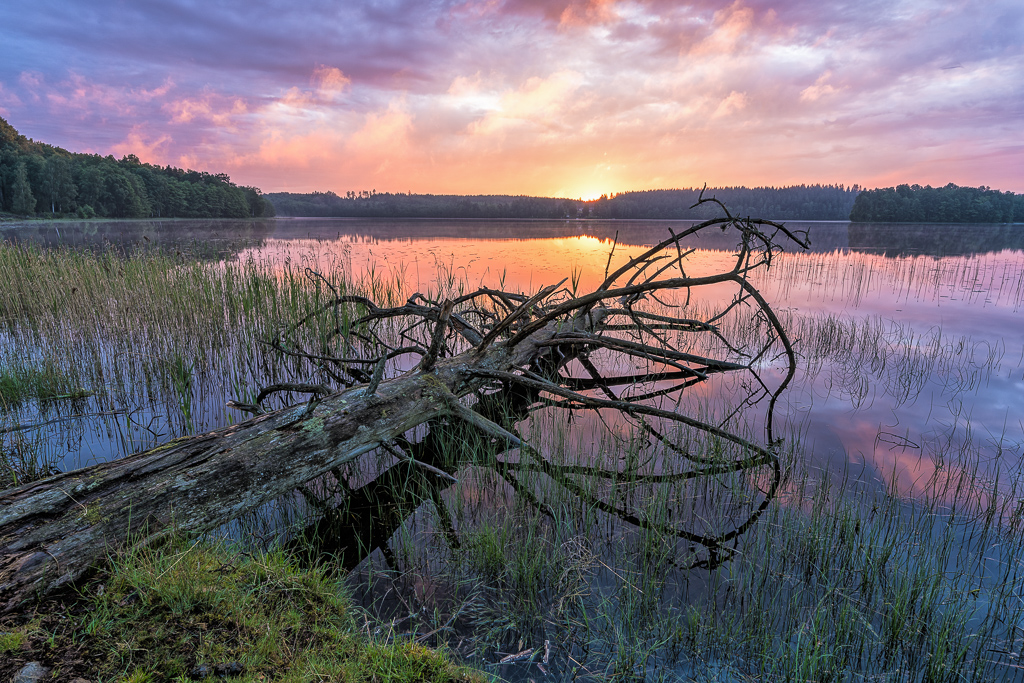 En sjö med en solnedgång i rosa och lila som speglar sig i vattnet.