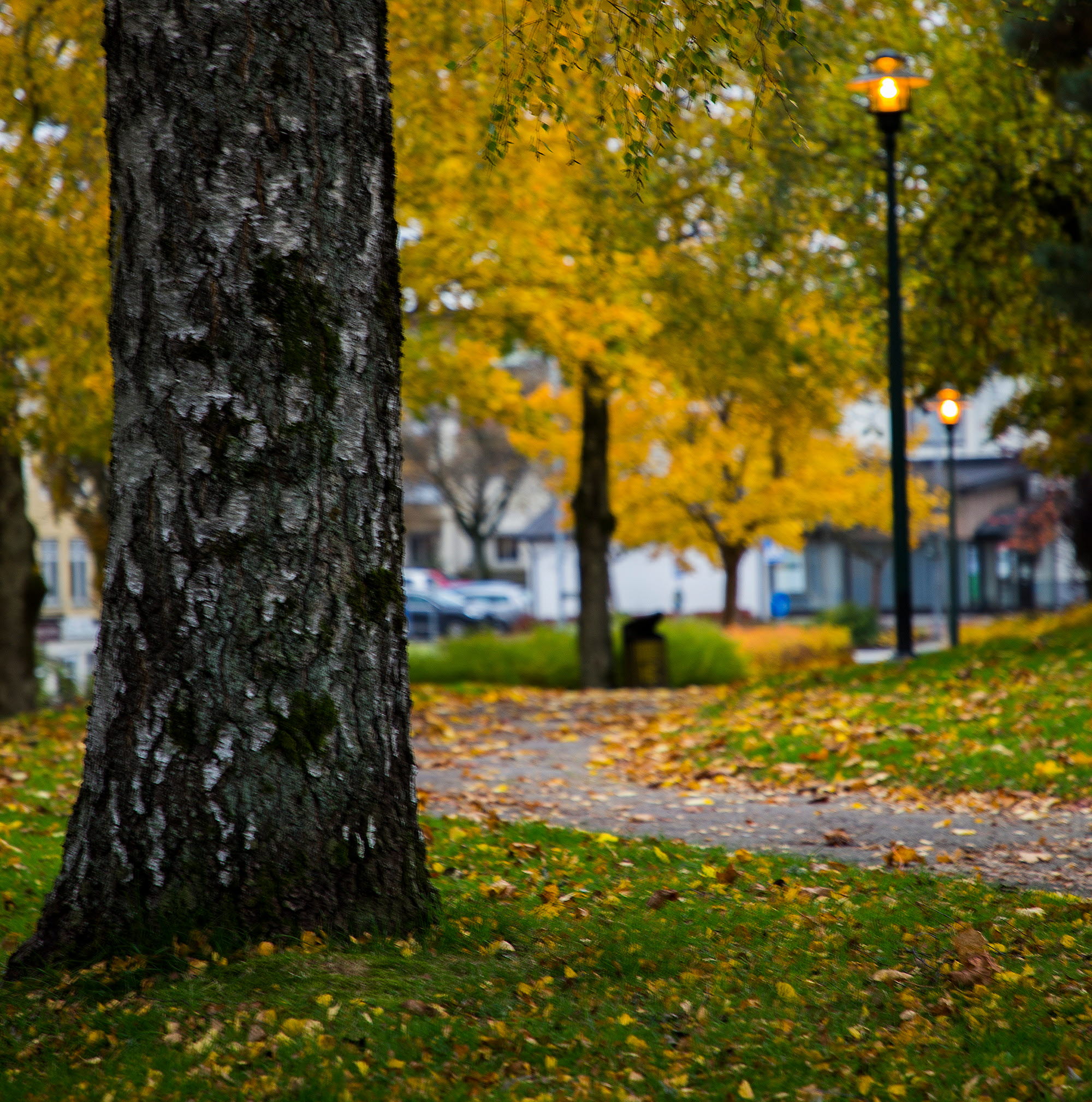 En bild på en stationspark i höstskrud.