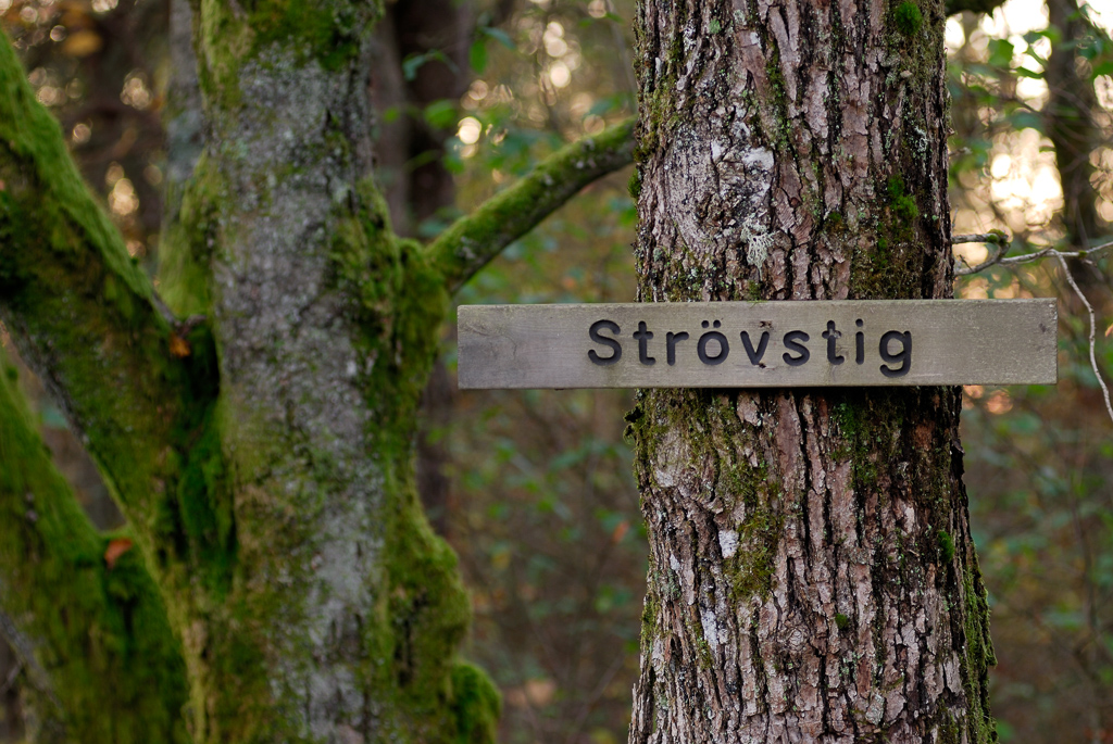 En skylt med texten "Strövstig" som sitter på en trädstam i skogen