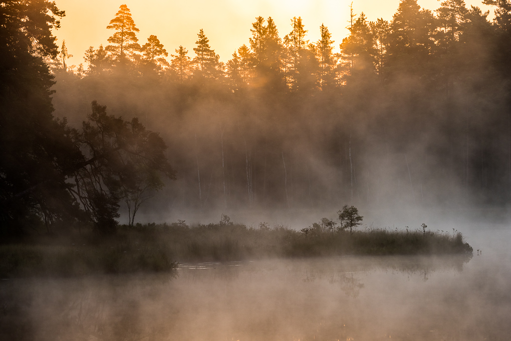 En sjö i skogen med dimma ovanför vattenytan