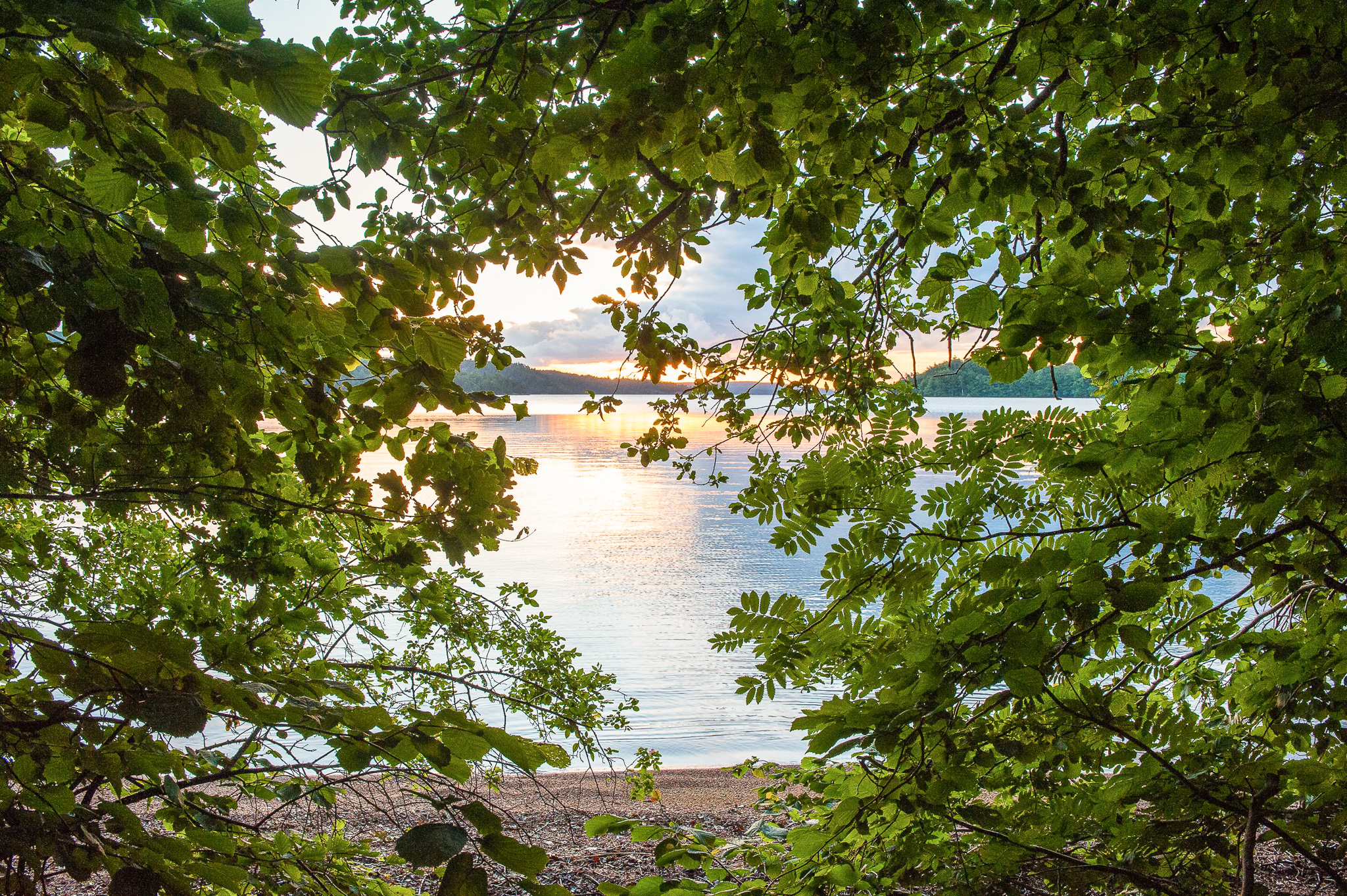 En bild på en sjö taget mellan bladbeklädda grenar. Solen speglar sig i sjön och man kan ana att det är en sandstrand.