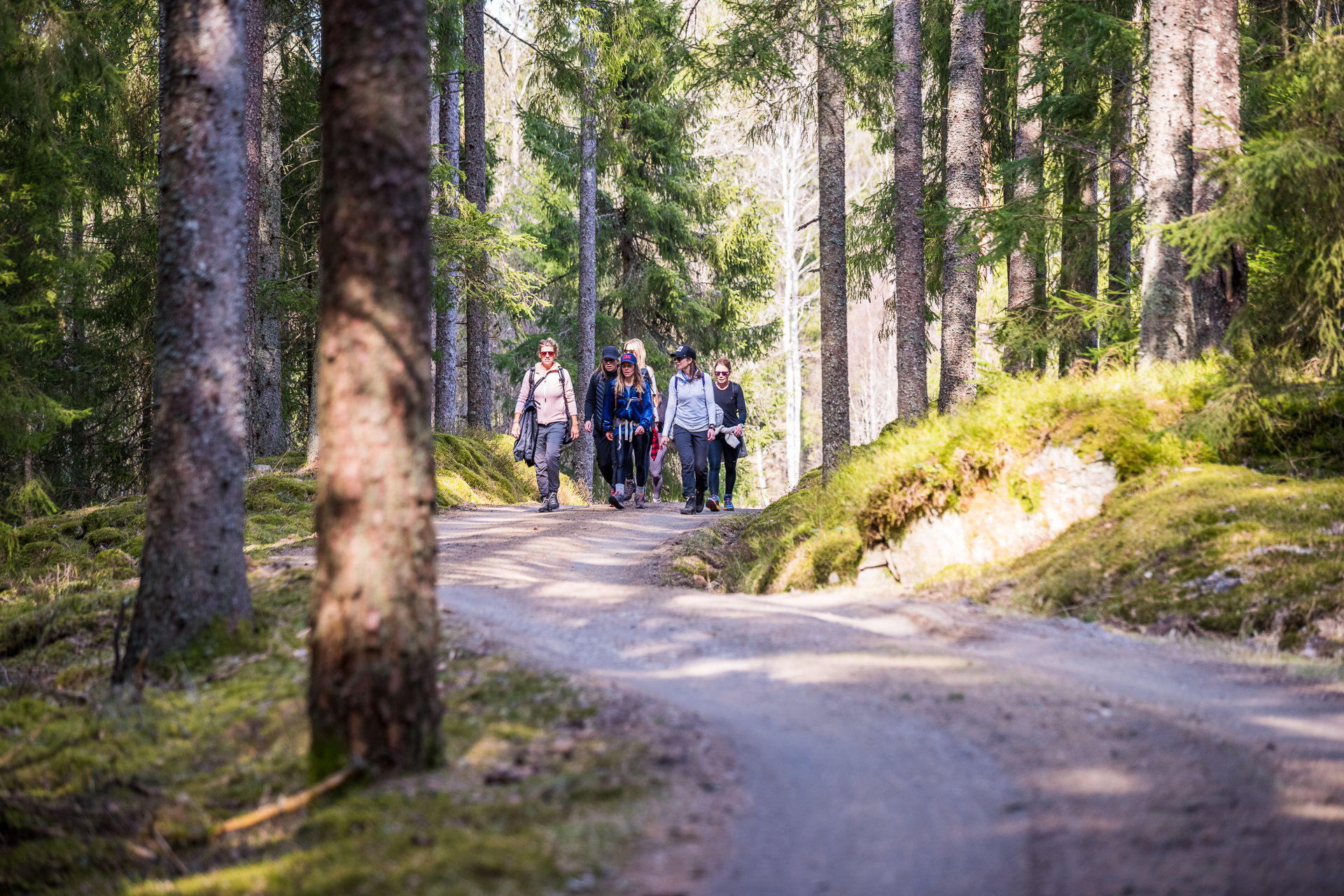 En bild på en grupp människor som vandrar tillsammans på en liten slingrande grusväg i skogen.