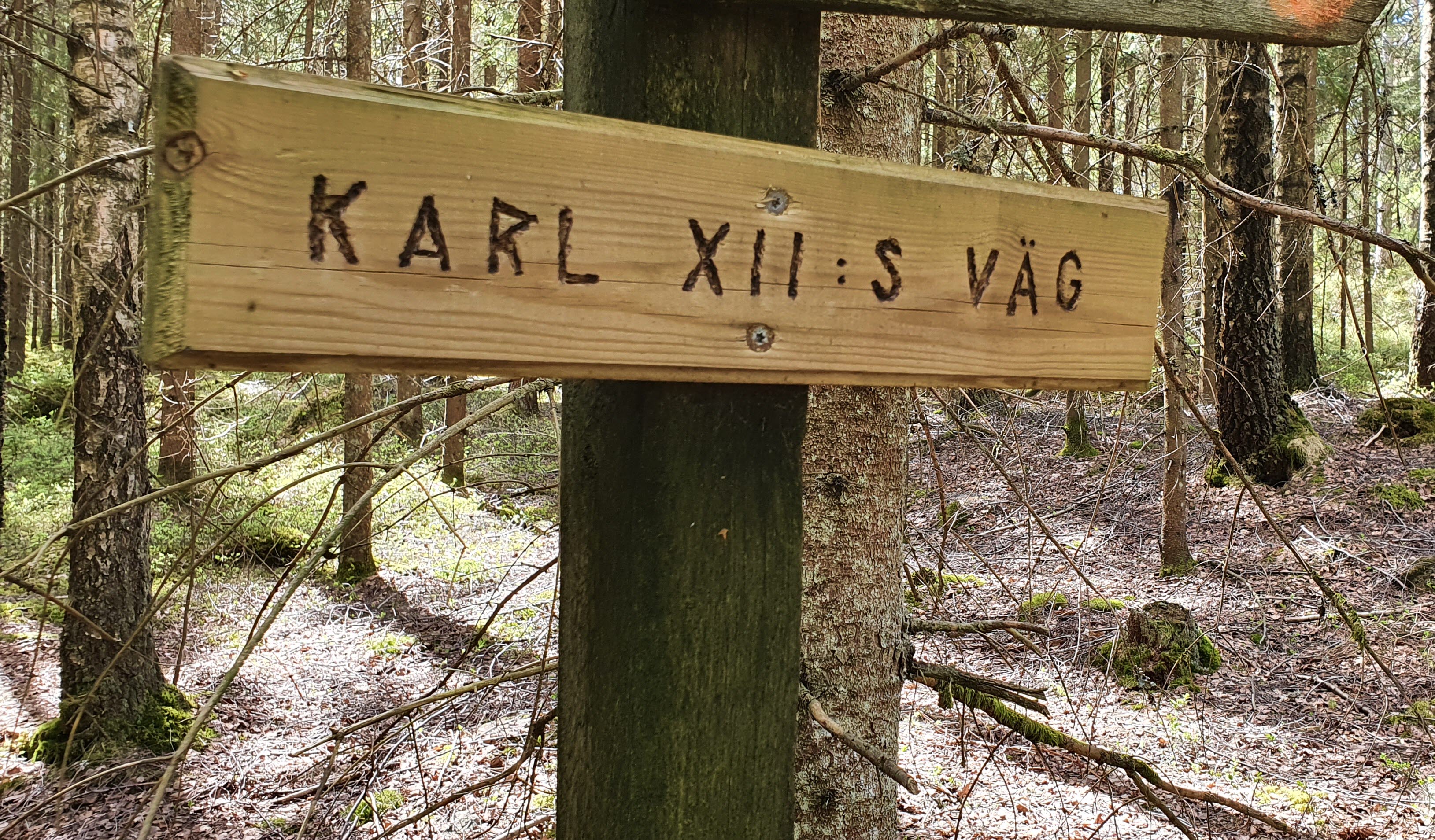 Karl den XII led mellan Mellerud och Färgelanda. 