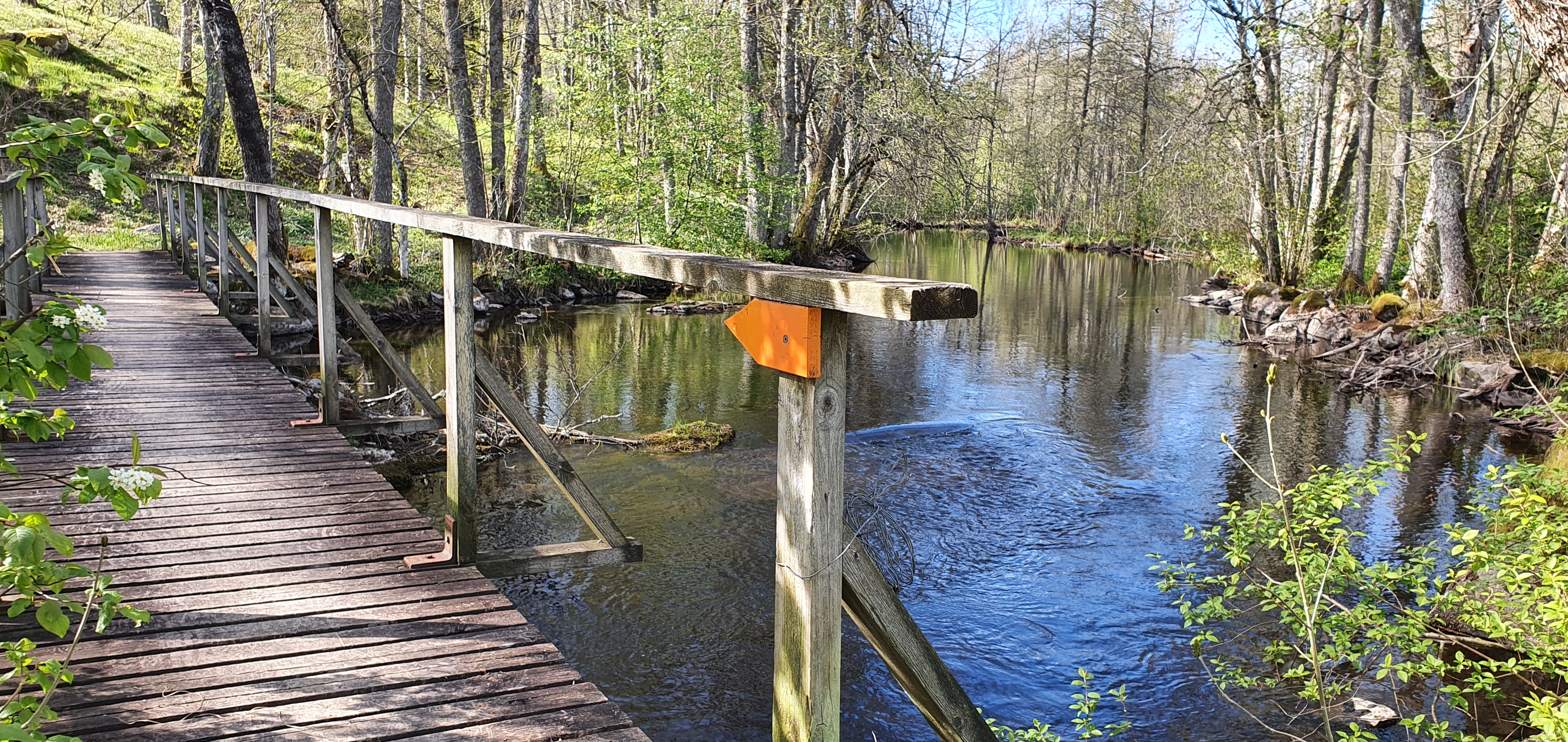 Karl den XII led mellan Mellerud och Färgelanda. 