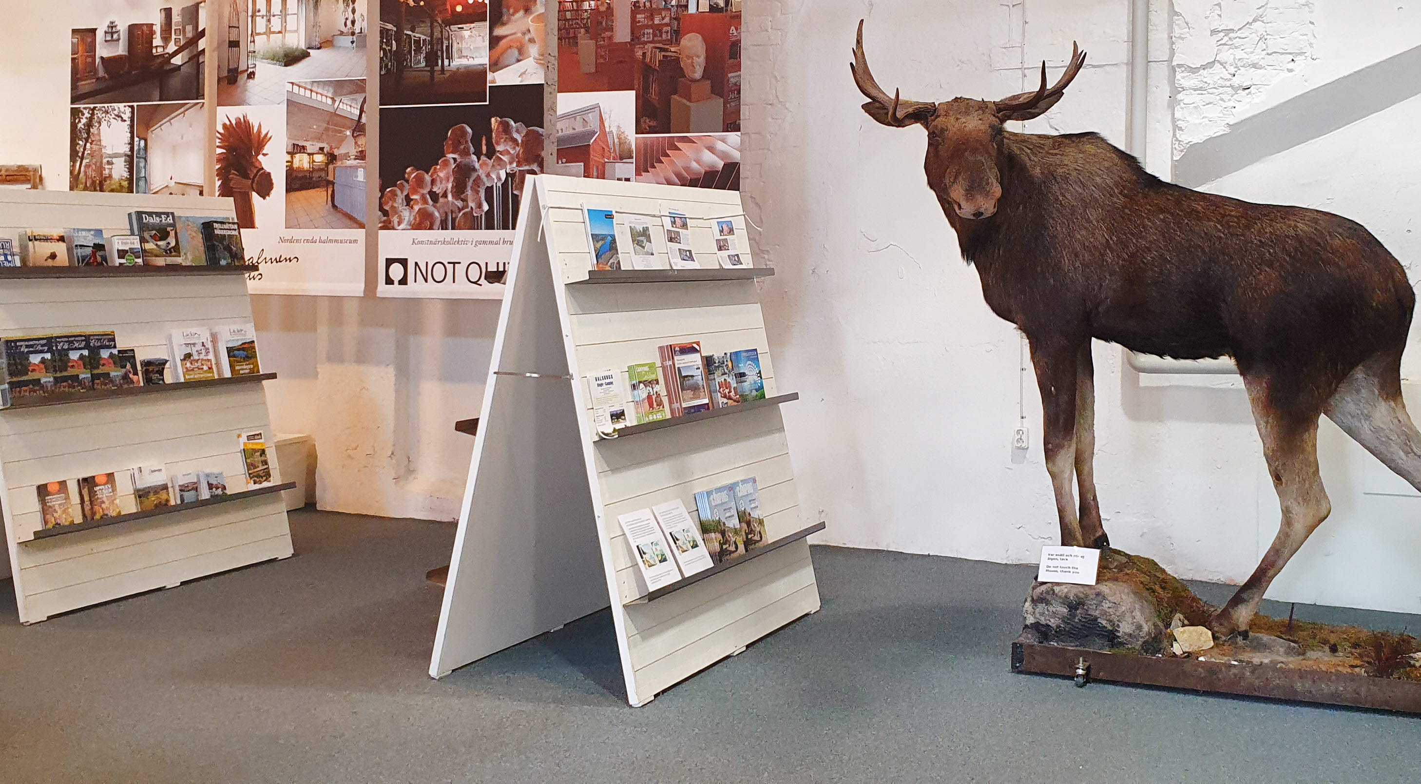 Uppstoppad älg på Dalslands center.