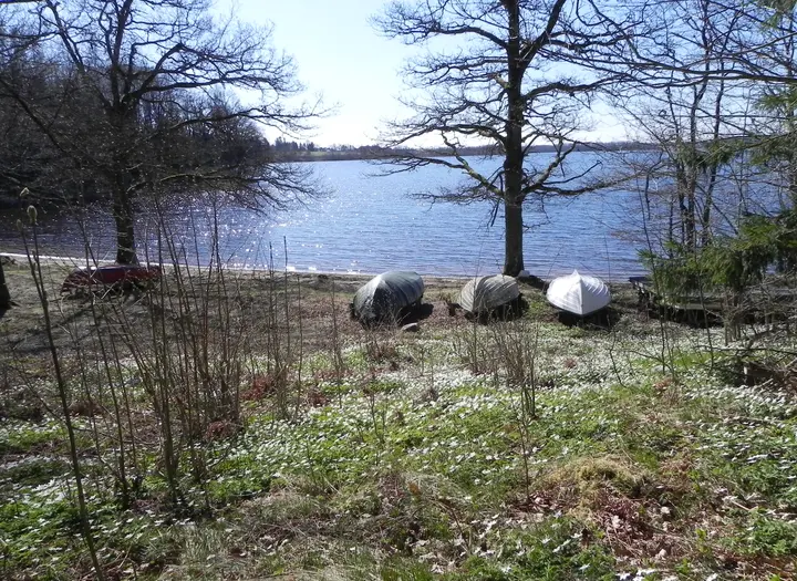 Örsjöns Fiskevårdsområde