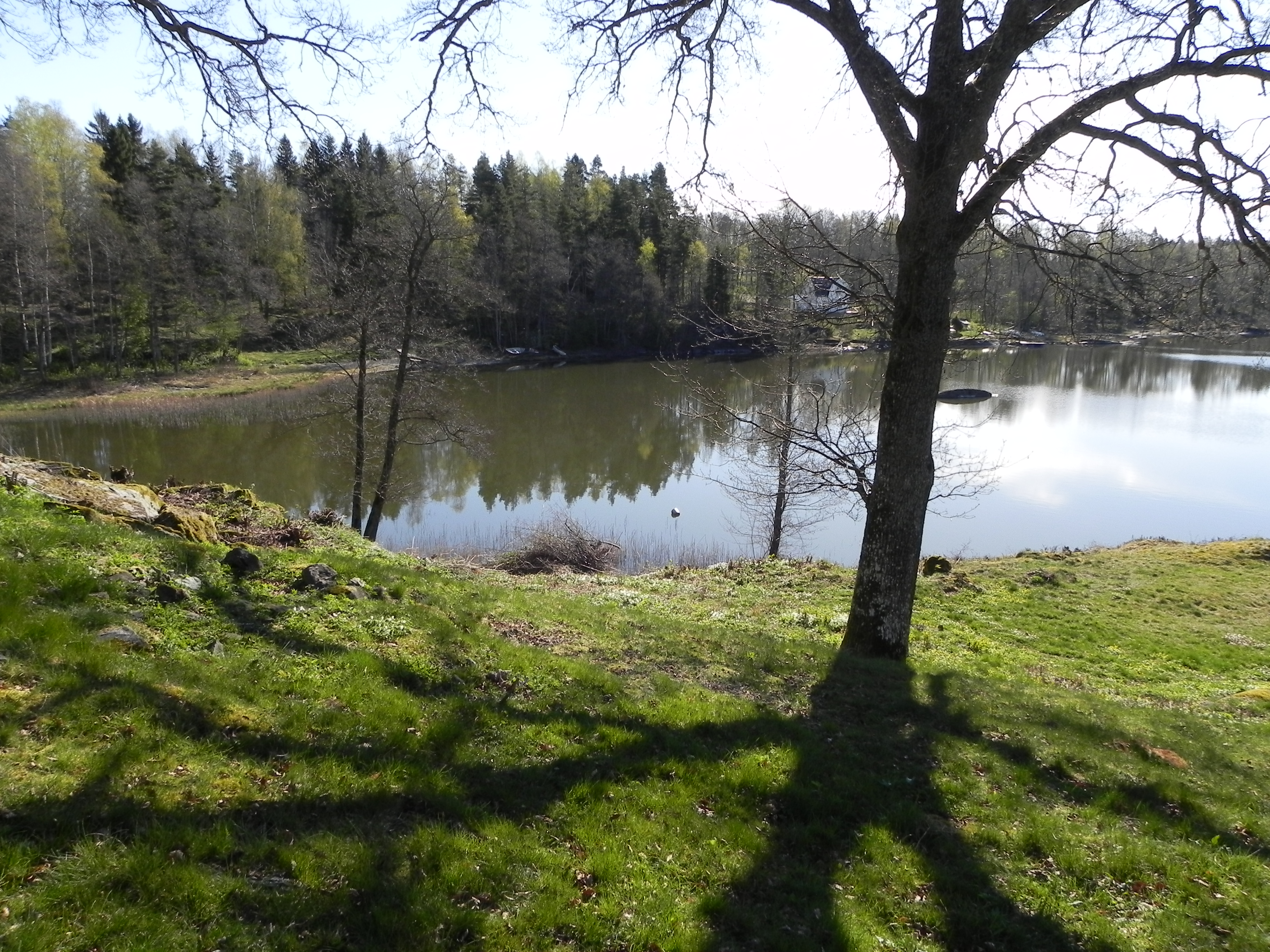 Närens Fiskevårdsområde