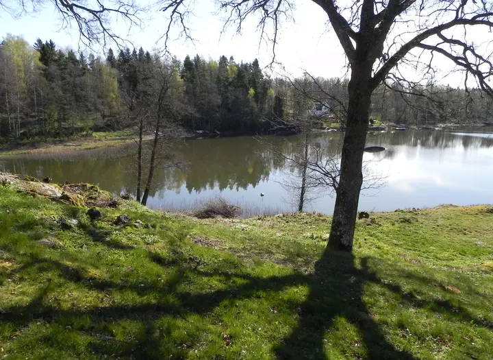 Närens Fiskevårdsområde