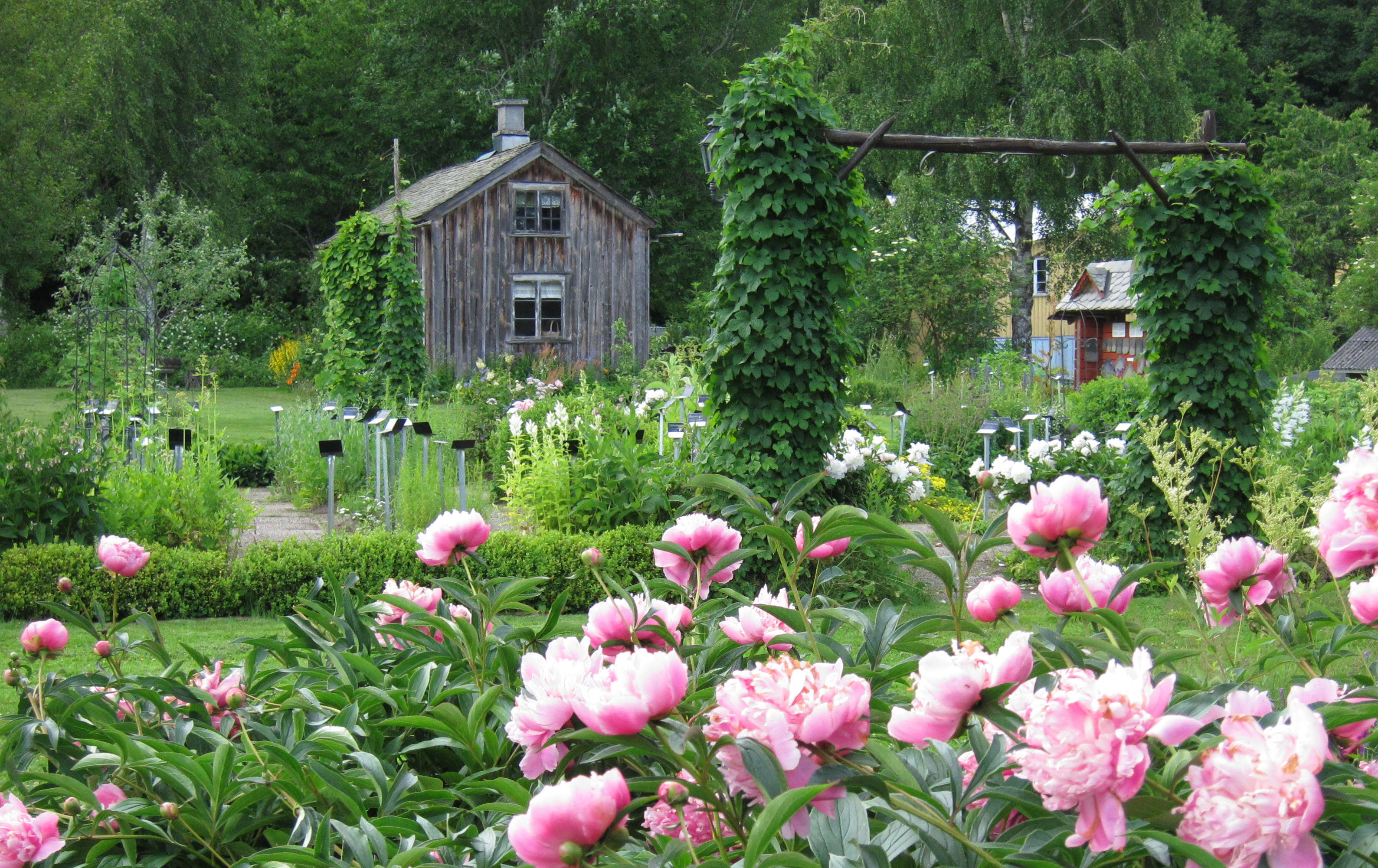 Örtagården i Dals Rostock
