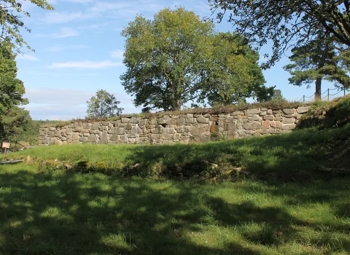 Dalaborg