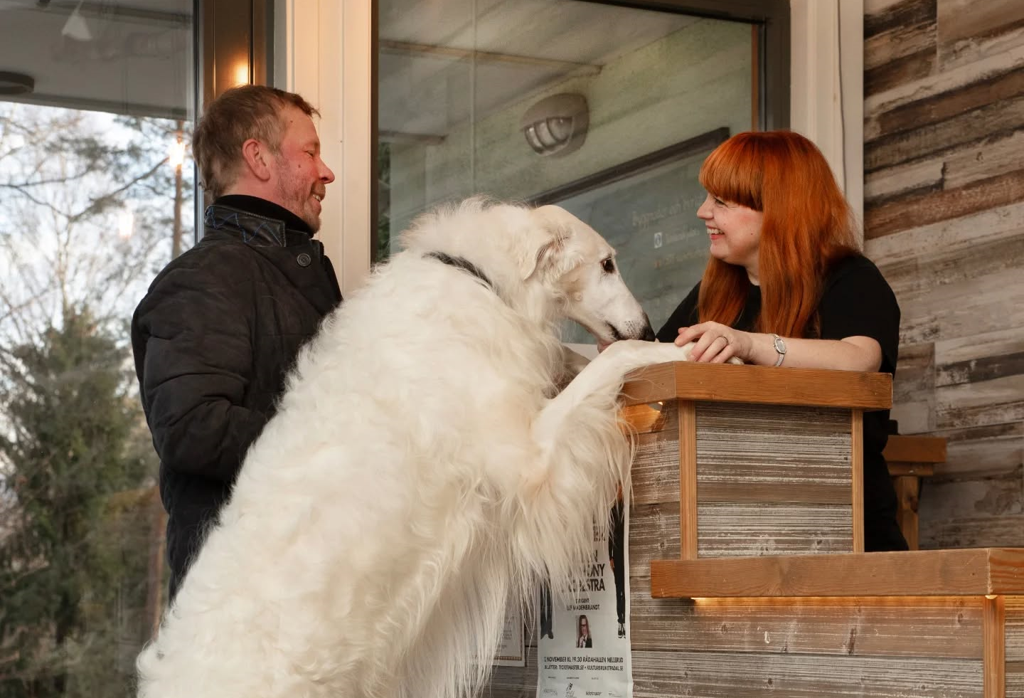 Kroppefjäll BB med hund