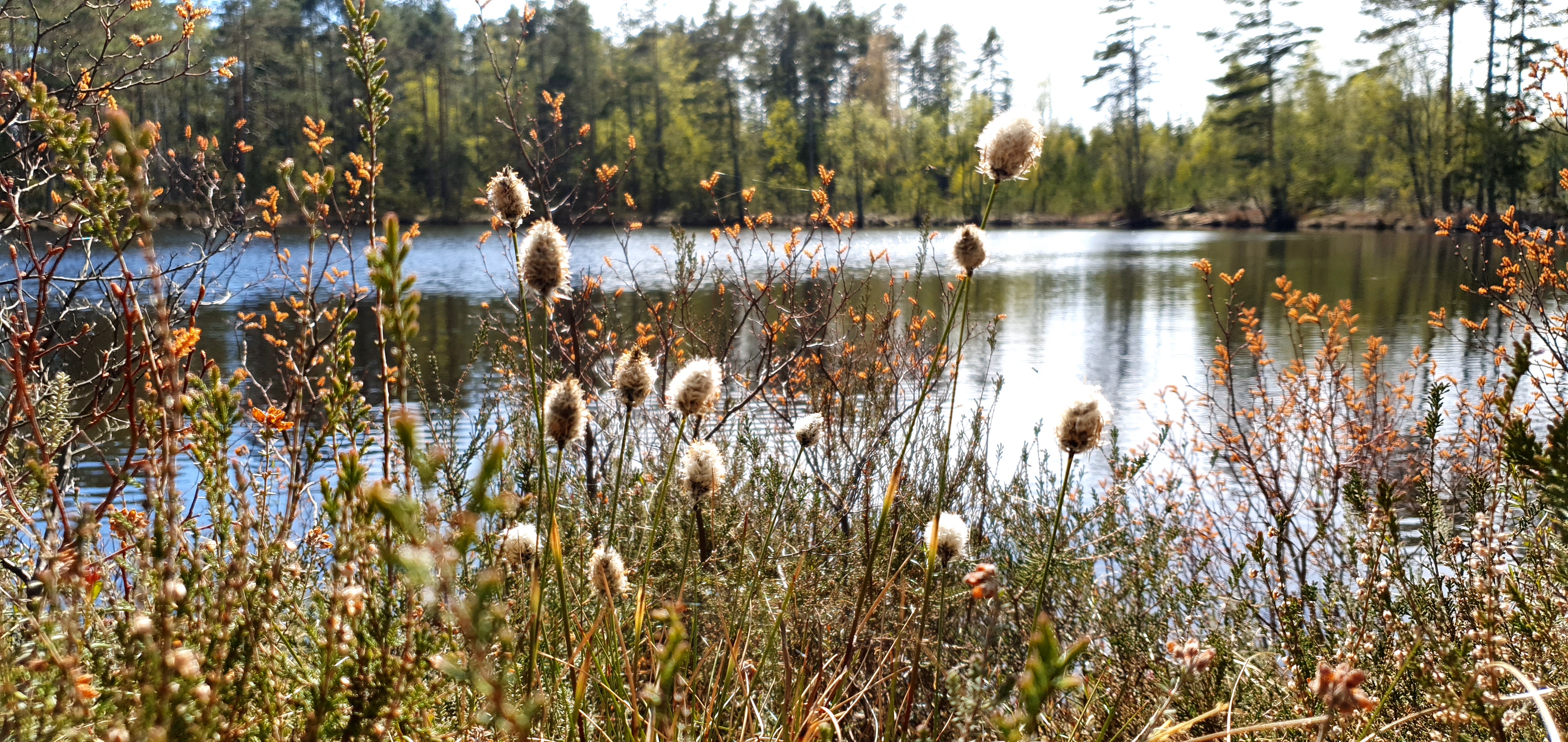 vandring vid vattnet längs Karl XII väg