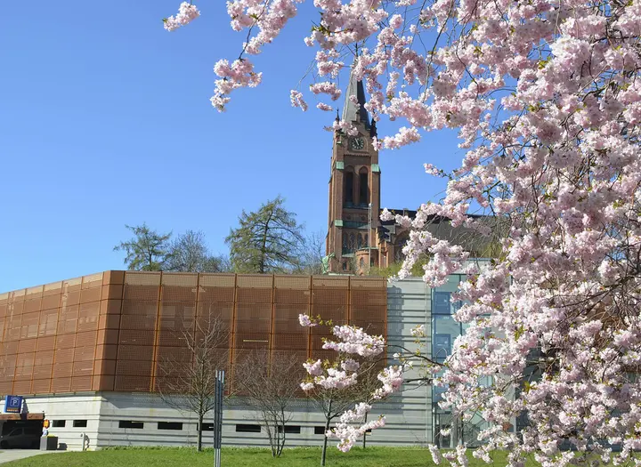 Svenska kyrkan