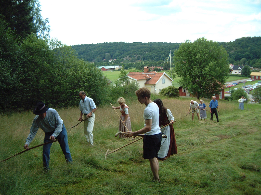Börjesgårdens hembygdsgille