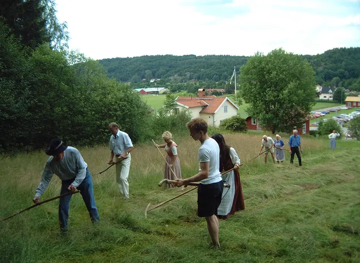 Börjesgårdens hembygdsgille
