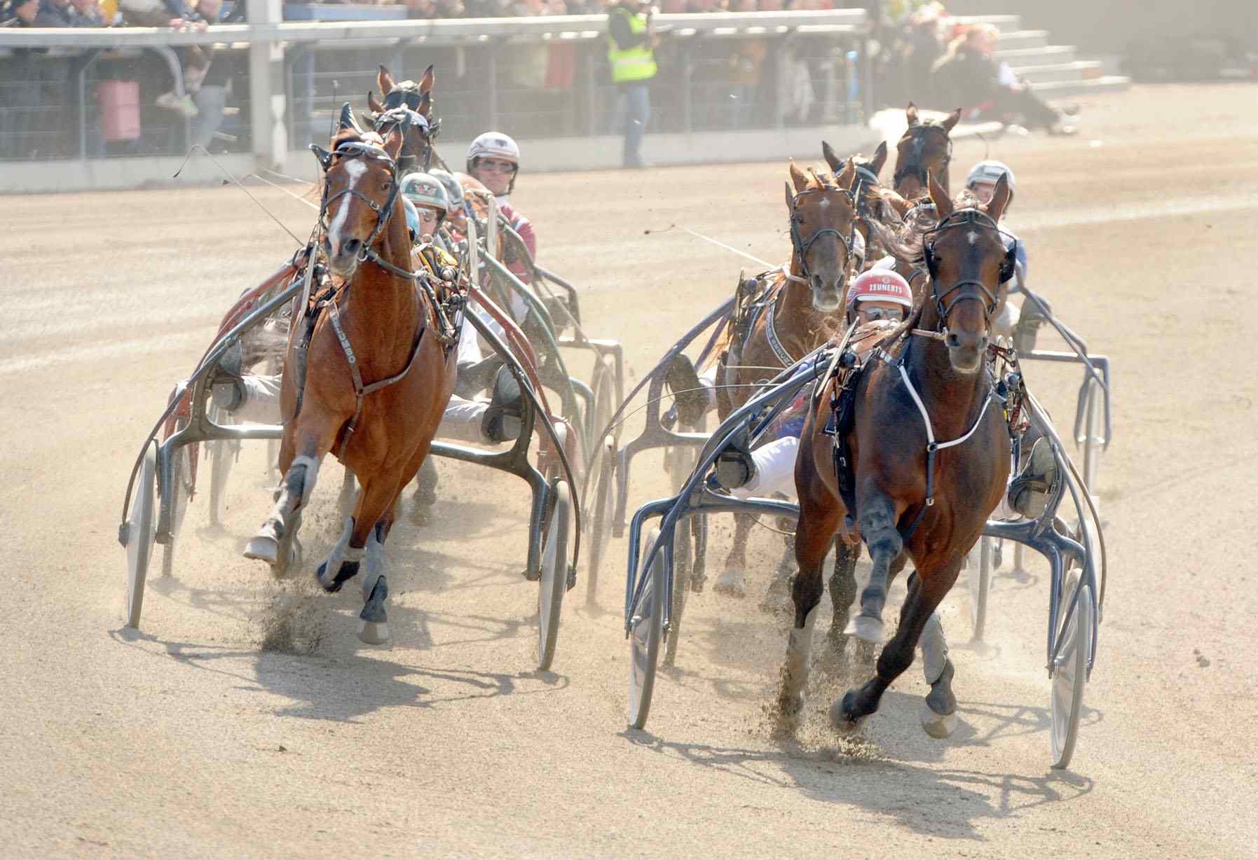 Åbytravet
