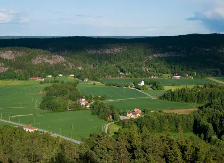 Vandringsleder