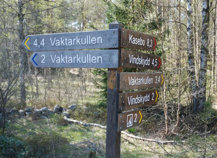 Vandra på Kynnefjäll